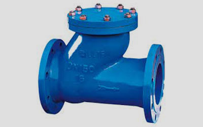Ball Check Valves
