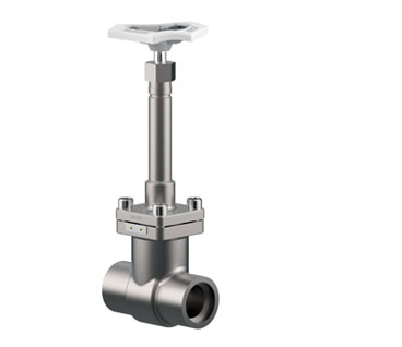 Cryogenic Gate Valve