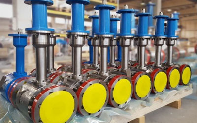 Cryogenic Trunnion Mounted Ball Valve