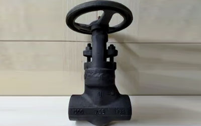Carbon Steel KSB Valve