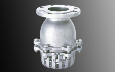 Duplex Steel Foot Valve