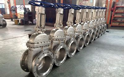 Duplex Steel Large Diameter Valves
