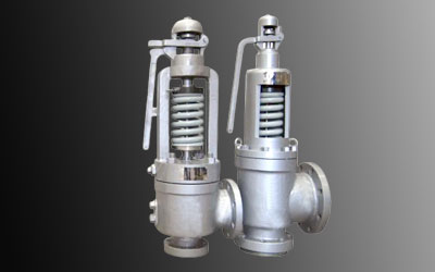 Duplex Steel Safety Valve