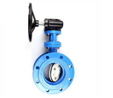 Eccentric Butterfly Valve