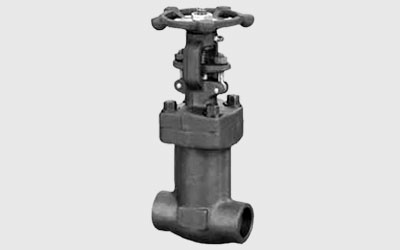 Forged CS Bellow Seal Globe Valve