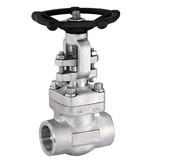 Forged Steel Gate Valve