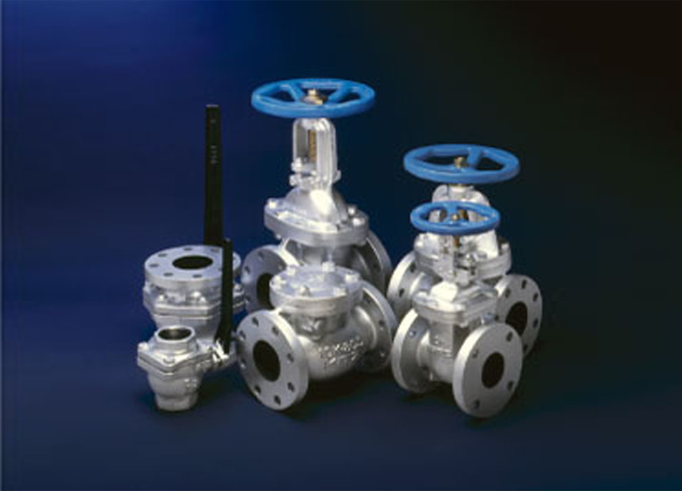 Gate Valve
