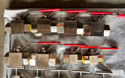 UNS S32750 Instrumentation Ball Valves