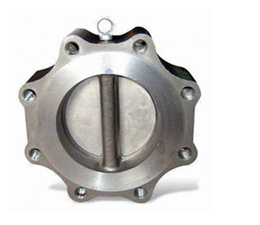Integrated Lug Type Check Valve