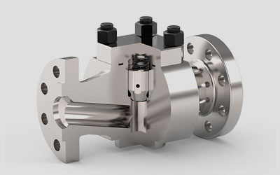 Piston Check Valves