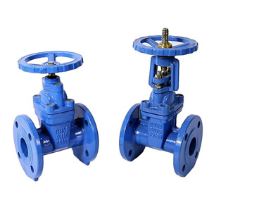 Resilent Gate Valve