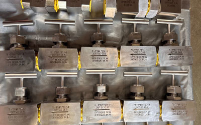 SDSS S32750 Needle Valves