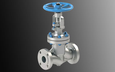 Stainless Steel Bellow Sealed Globe Valve