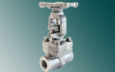 Stainless Steel Forged Steel Gate Valve