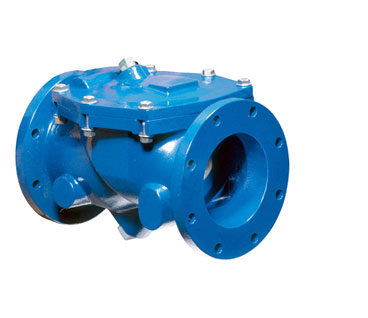 Swing Flex Check Valve
