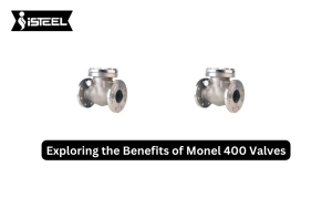 Monel 400 Valves