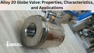 Alloy 20 Globe Valve