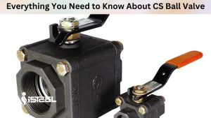 CS Ball Valve
